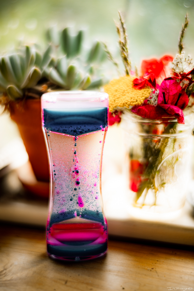 Photos of flowers, focaccia, fun Lucky Charms, and pretty Berkeley neighborhood sights.